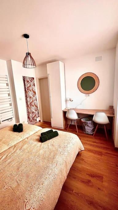 Cosy Au Centre-ville Appartement